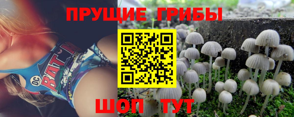 Джанкой  Псилоцибиновые грибы Magic Shrooms  что такое   Вход с VPN 
